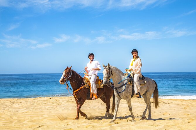 Cabo San Lucas Camel and Horseback Ride with ATV Adventure - From your hotel to Cactus Park