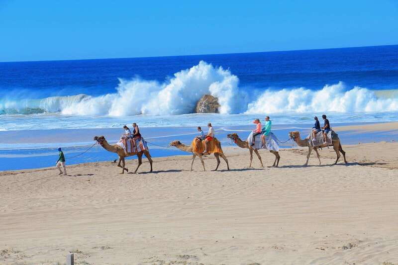 Cabo San Lucas: Camel Ride & Off-Road UTV Combo Adventure - From Cabo pickup to the Pacific shore
