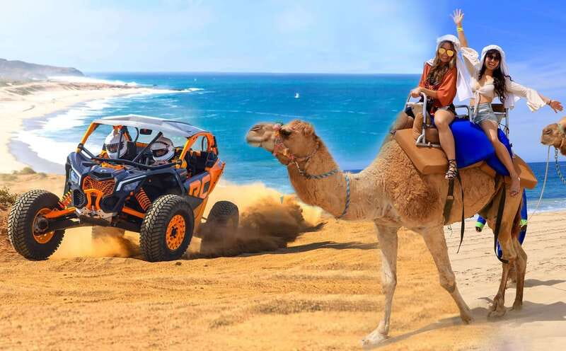 Cabo San Lucas: Camel Ride & Off-Road UTV Combo Adventure - Switching from quiet camels to Baja horsepower
