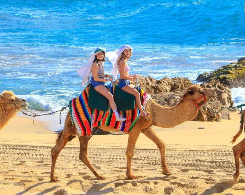 Cabo San Lucas: Camel Ride & Off-Road UTV Combo Adventure - Should you book the Cabo camel and UTV combo?