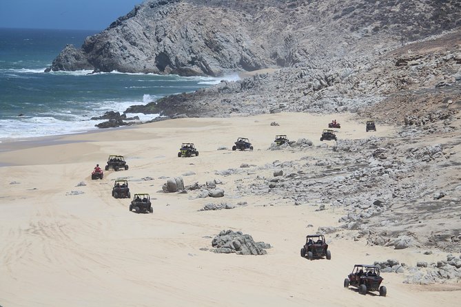 Cabo Wild Desert Tour, Polaris ATV or Razor Single, Double, Triple or Quad! - Value, extra charges, and the small print