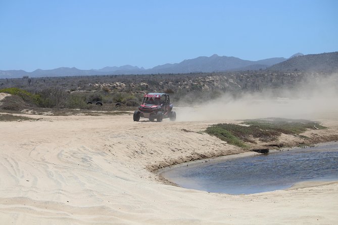 Cabo Wild Desert Tour, Polaris ATV or Razor Single, Double, Triple or Quad! - Who should book this ride?