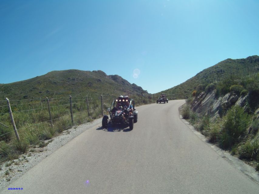 Cala Millor/Sa Coma: Guided Buggy Tour - Who should book this tour?