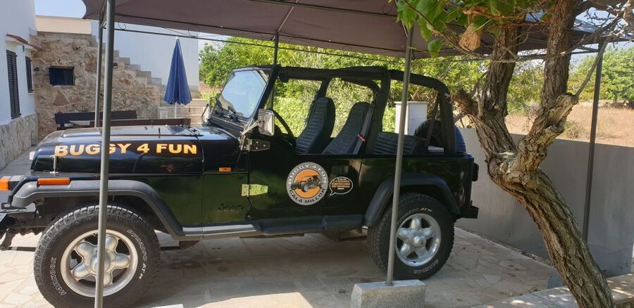 Cala Millor/Sa Coma: Guided Buggy Tour - The Bonany monastery route and island views
