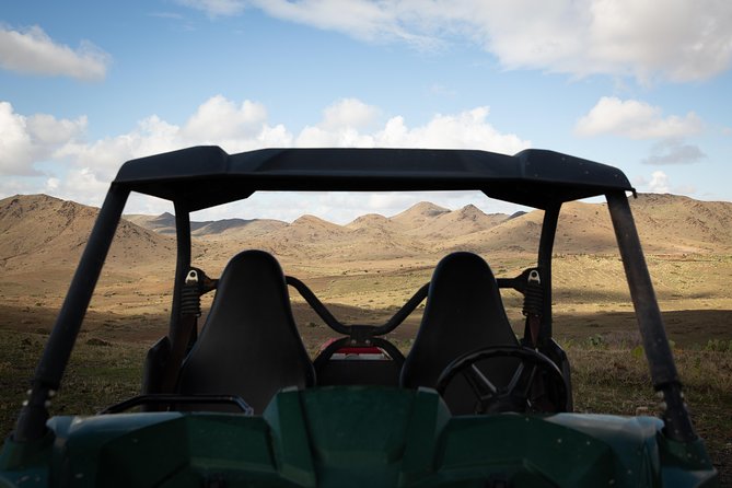 Camel and Quad Biking Tour from Marrakech - Is $98.48 good value?