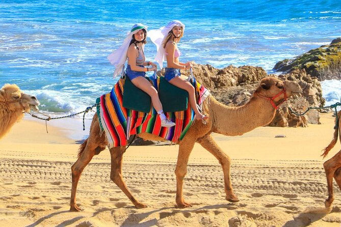 Camel Ride and UTV Combo Adventure, with Tequila Tasting - What the $108 price really buys you