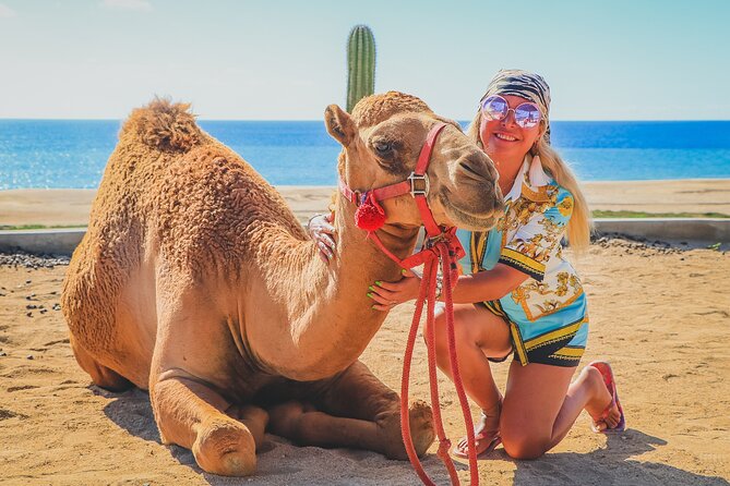 Camel Ride and UTV Combo Adventure, with Tequila Tasting - Switching from camel power to Baja horsepower