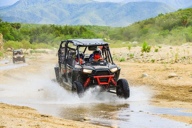 Camel Ride and UTV Combo Adventure, with Tequila Tasting - Dunes, cliffs, and the best driving views