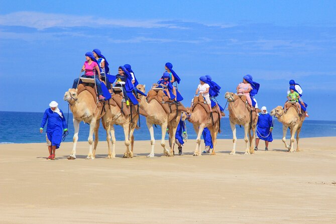 Camel Ride and UTV Combo Adventure, with Tequila Tasting - Transportation and timing from Cabo hotels or ships