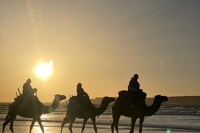 Camel ride or quad bike ride.. pick up, drop off. including - Oued Ksob and the Coastal Birdlife