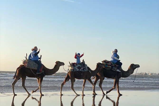 Camel ride or quad bike ride.. pick up, drop off. including - The Guides and the Human Side of the Trip