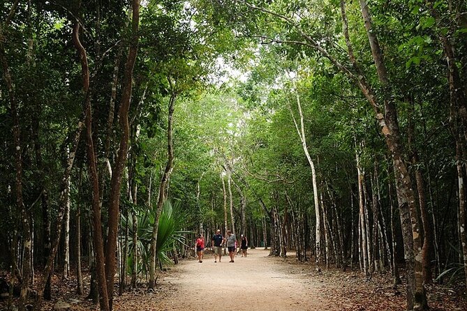 Cancun ATV Adventure, Horseback Riding, Zip Lines, and Cenote - Zip lines, bridges, and the cenote finish