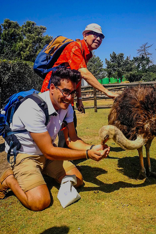 CAPE TOWN: OSTRICH RANCH QUAD BIKE RIDE & OSTRICH TOUR - How the two-hour format works
