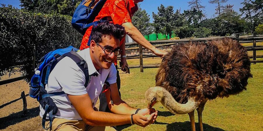 CAPE TOWN: OSTRICH RANCH QUAD BIKE RIDE & OSTRICH TOUR - What to pack and how to prepare