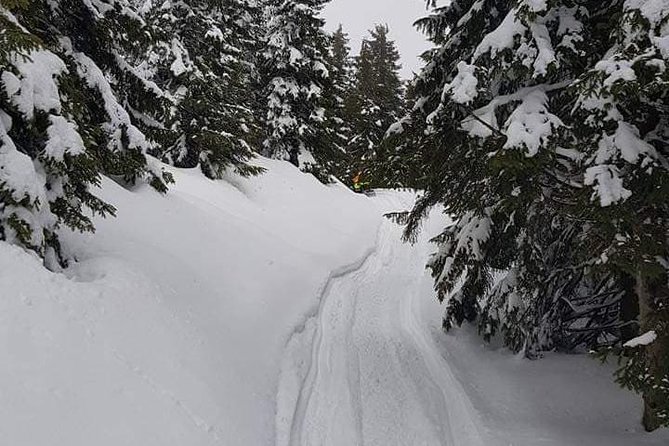 Carpathian mountains Snowmobile, ATV or Buggy tour in one day - Azuga and the Carpathian ride