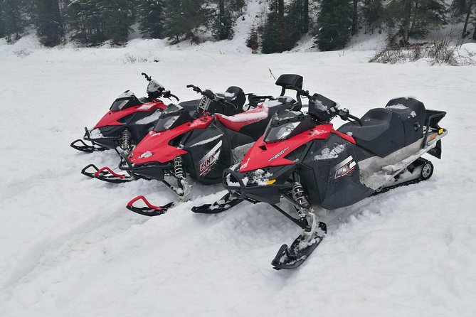 Carpathian mountains Snowmobile, ATV or Buggy tour in one day - Shared riding and the real cost of going private