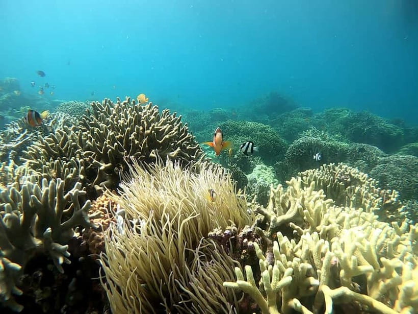 Cebu: Moalboal Snorkeling, Mantayupan Falls & ATV Adventure - How to prepare for the long day