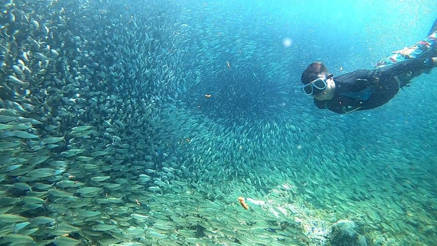 Cebu: Moalboal Snorkeling, Mantayupan Falls & ATV Adventure - A short beach break after snorkeling