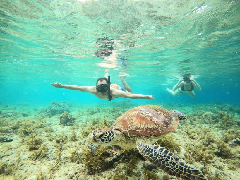 Cebu: Sardine Run Snorkeling, Mantayupan Falls & ATV Thrills - Moalboal’s sardine school comes first