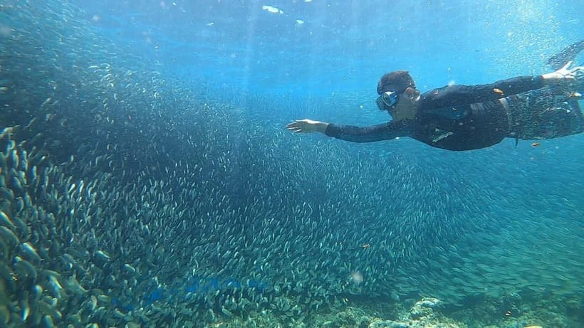 Cebu: Sardine Run Snorkeling, Mantayupan Falls & ATV Thrills - Breakfast is simple and not included