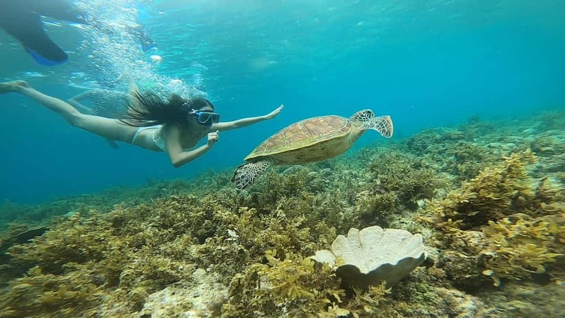 Cebu: Sardine Run Snorkeling, Mantayupan Falls & ATV Thrills - Barili ATV riding is short but active