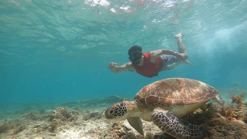 Cebu: Sardine Run Snorkeling, Mantayupan Falls & ATV Thrills - What the $103 price really covers