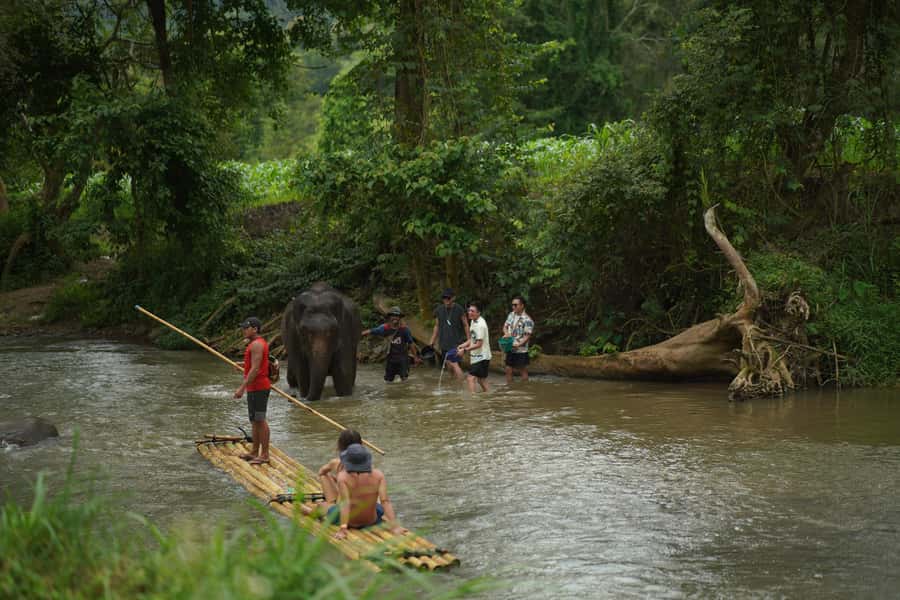 Chiang Mai: ATV Adventure 2-Hrs,Feeding,Rafting & Lunch Trip - A quiet finish on the Mae Wang River