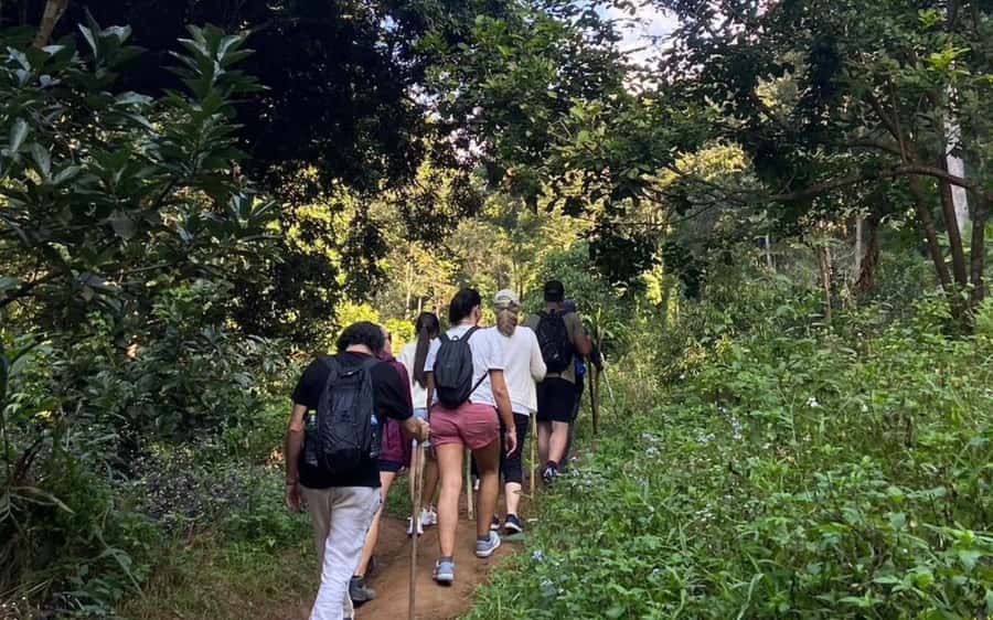 Chiang Mai: ATV Adventure, Jungle Hike & White Water Rafting - White-water rafting at Kaeng Kued