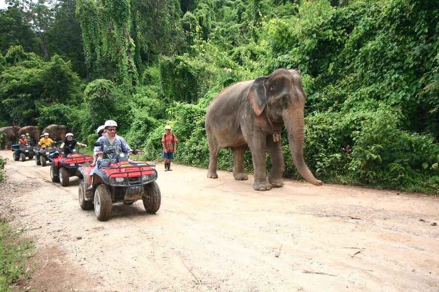 Chiang Mai : ATV Tour - Lunch after the ride