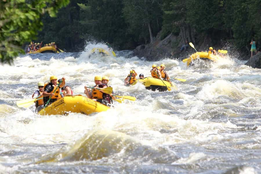 Chiang Mai ATV & White Water Rafting & Trekking to Waterfall - The waterfall trek takes real shoes