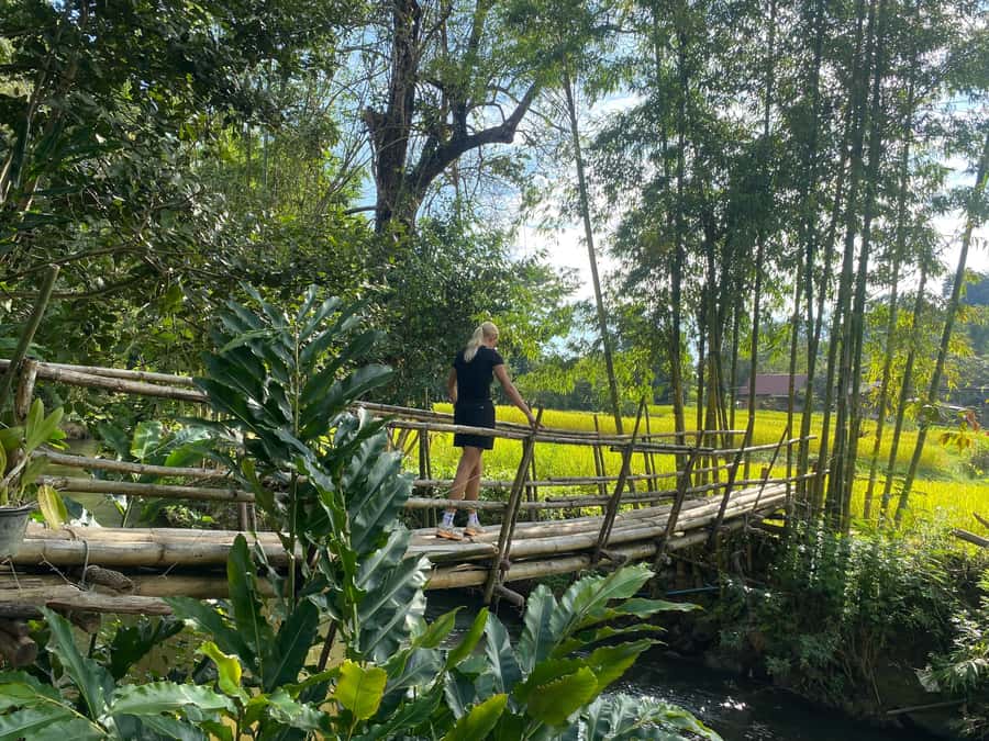 Chiang Mai: Doi Inthanon Explore & ATV Adventure - Kew Mae Pan and the summit area