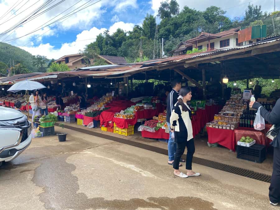 Chiang Mai: Doi Inthanon Explore & ATV Adventure - Grand Pagoda Nabhapolbhumisiri
