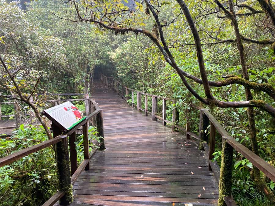 Chiang Mai: Doi Inthanon Explore & ATV Adventure - Wachirathan Waterfall and local market stops