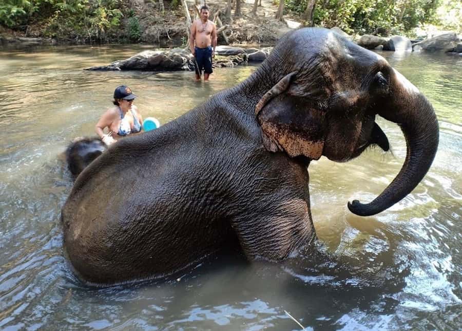 Chiang Mai : Ethical Elephant Sanctuary and ATV Adventure - Lunch after the sanctuary