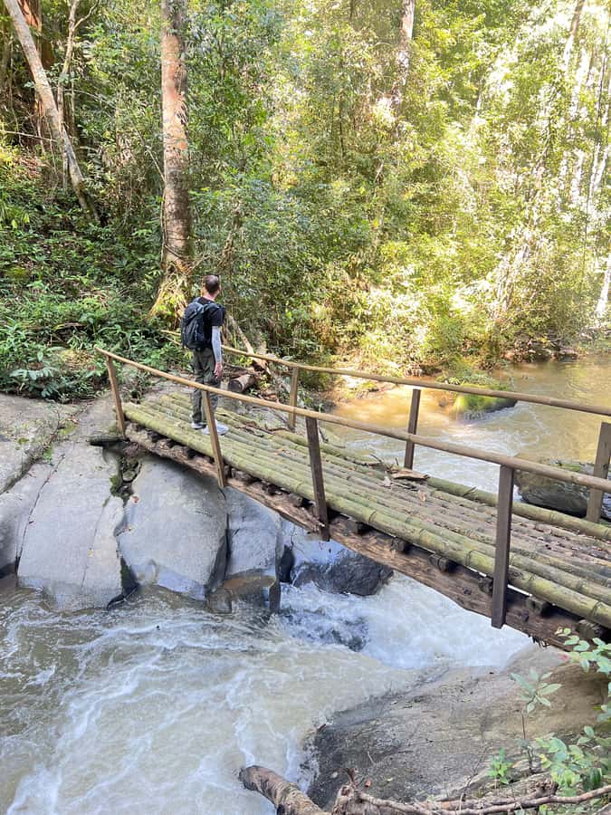 Chiang Mai : Ethical Elephant Sanctuary and ATV Adventure - How the two activities work together