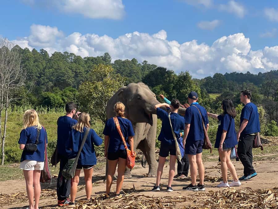 Chiang Mai : Ethical Elephant Sanctuary and ATV Adventure - Is $93 a fair price?