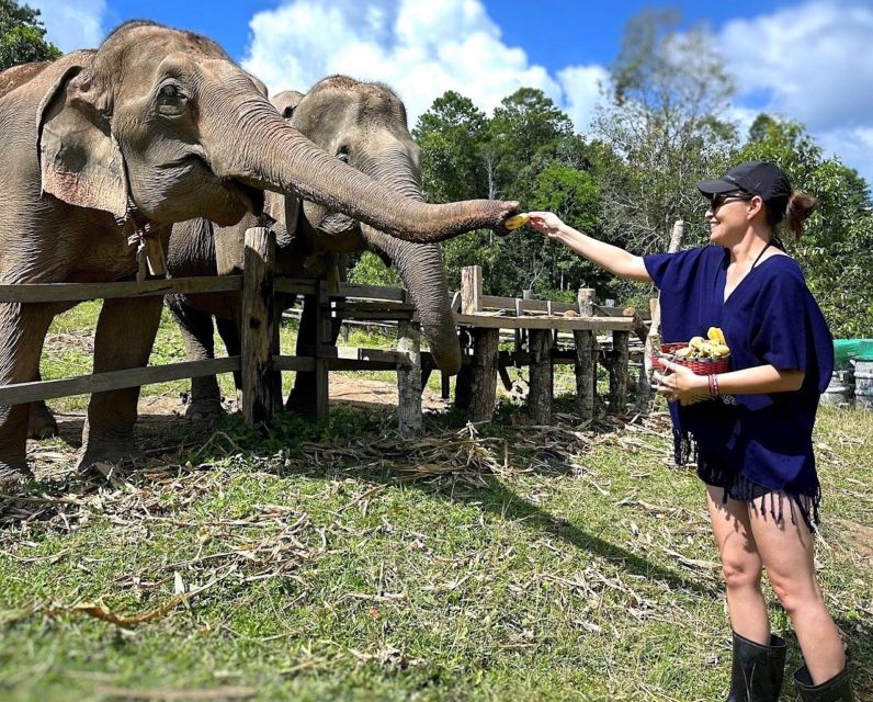Chiang Mai : Ethical Elephant Sanctuary and ATV Adventure - Who should book this day?
