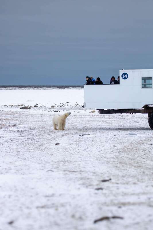 Churchill: Exclusive Tundra Buggy Day Trip - Entering the Churchill Wildlife Management Area
