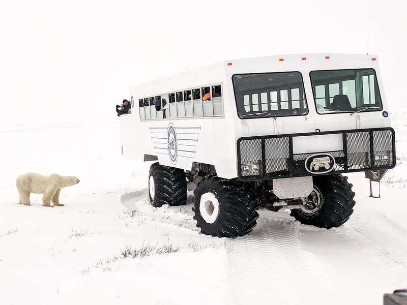 Churchill: Exclusive Tundra Buggy Day Trip - Summer or autumn: choose your season carefully