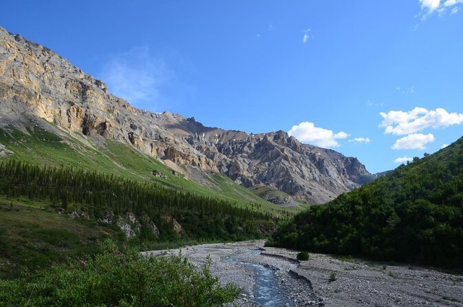 Classic ATV Adventure with Back Country Dining - Starting in Healy with the right expectations