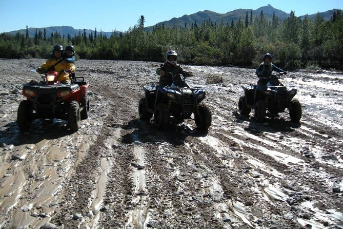 Classic ATV Adventure with Back Country Dining - The abandoned cabin and Alaska Range views