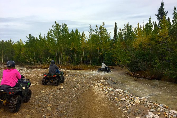 Classic ATV Adventure with Back Country Dining - Choosing an ATV or side-by-side