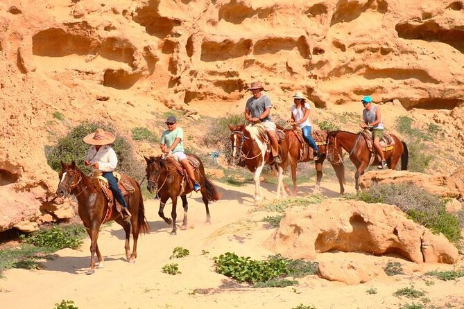 Combined ATV and Horseback Ride/Tequila Tasting - Why this Cabo tour works well as a two-part adventure