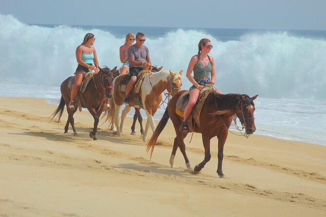 Combined ATV and Horseback Ride/Tequila Tasting - Is $179.33 a fair price for the day?