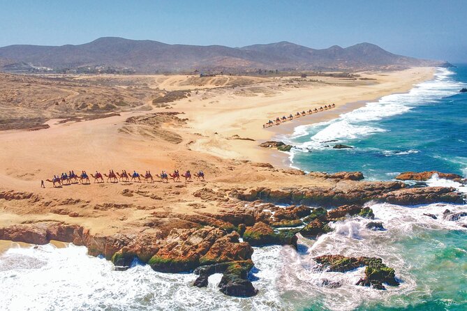Combo 4x4 Automatic ATV and Camel Ride Tour in Cabo San Lucas - Extra charges and the real price