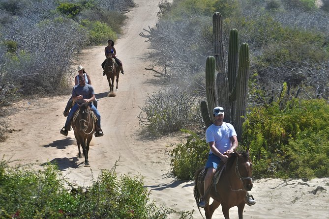 Combo Double Utv + Horses - Horseback riding adds a slower view of the coast