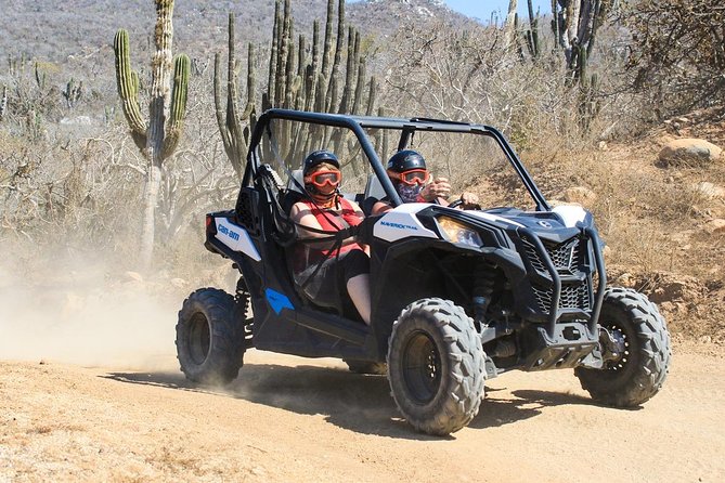 COMBO Horseback Riding & UTV Tour - Why the two-part format works in Cabo