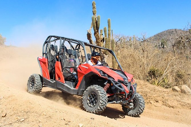 COMBO Horseback Riding & UTV Tour - One hour behind the wheel of a UTV