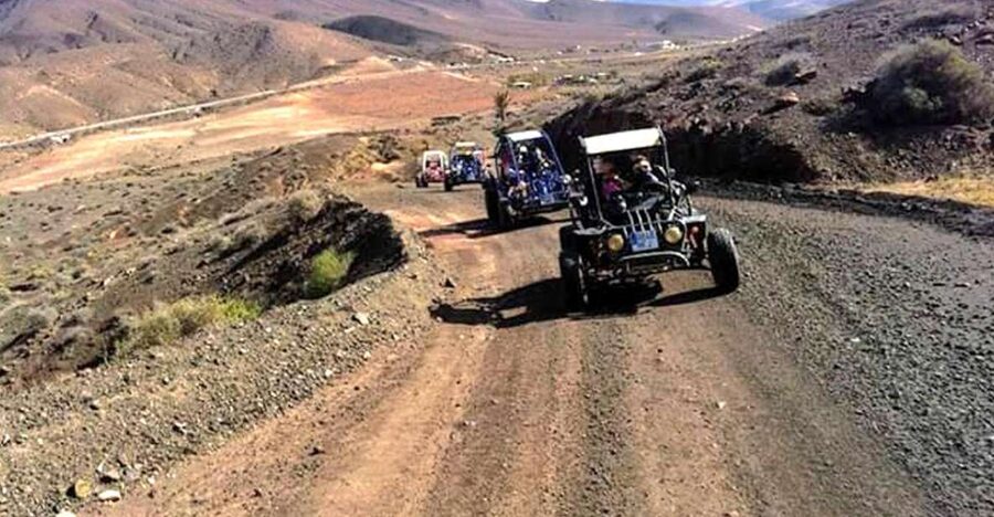 Costa Calma: Buggy Safari - Key points before you book