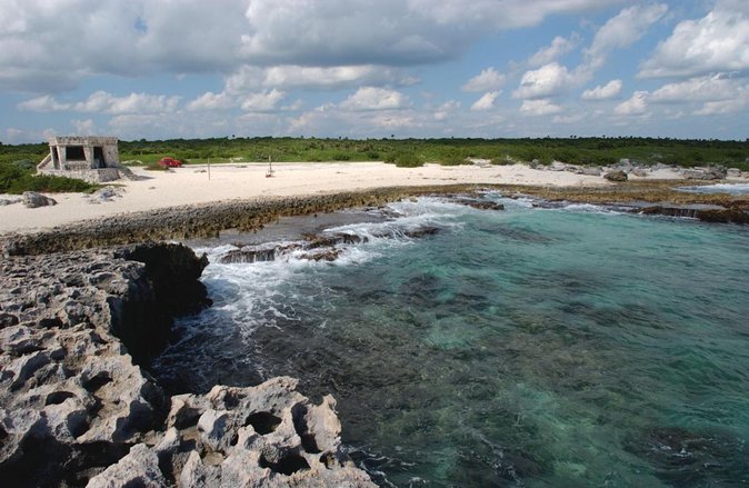 Cozumel Adventure Private Jeep or Buggy Excursion + Lunch&Snorkel - Key points to know before booking